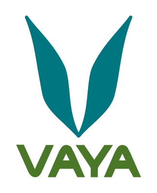 Vaya